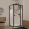 Porte de Douche Pivotante Extensible 69/80x185cm et Retour Fixe 80cm - Noir - BLACK SLIDE